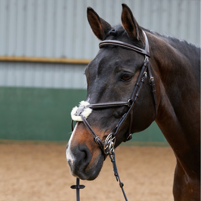 BR050A - Eastwood Mexican Bridle With Reins