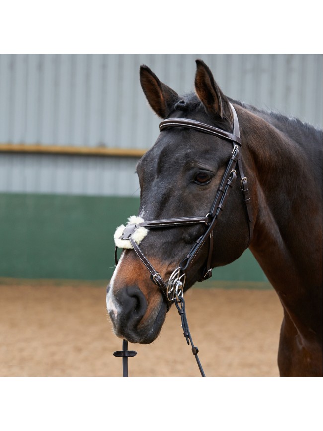 BR050A - Eastwood Mexican Bridle With Reins