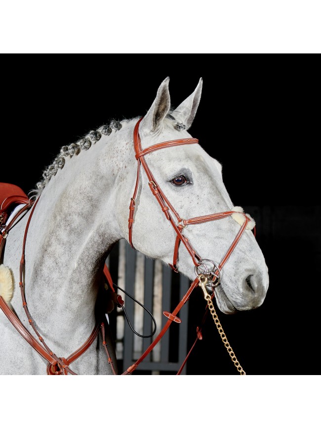 BR052 -  Valencia Super Deluxe Mexican Bridle with Reins
