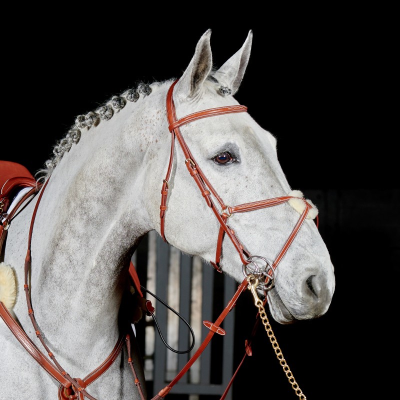 BR052 -  Valencia Super Deluxe Mexican Bridle with Reins