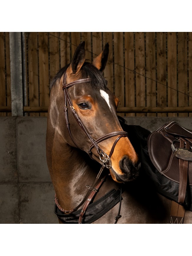 BR053  - Valencia Super Deluxe Flash Bridle with Reins    