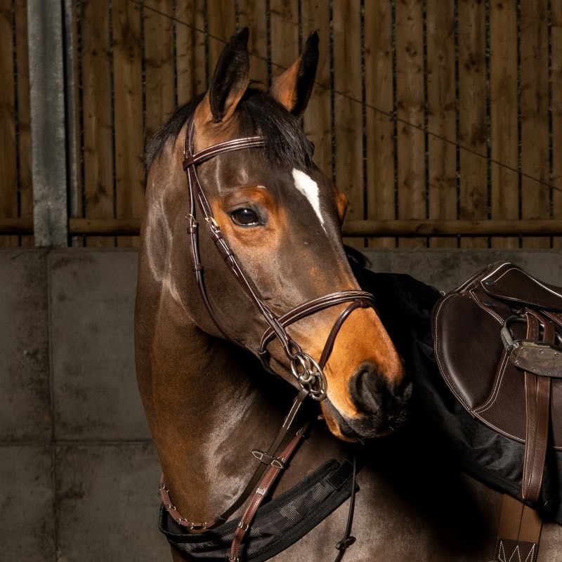 BR053  - Valencia Super Deluxe Flash Bridle with Reins    