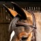 BR053  - Valencia Super Deluxe Flash Bridle with Reins    