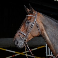 BR071 - Chicago Breathable Leather Bridle with Bling Browband & Reins