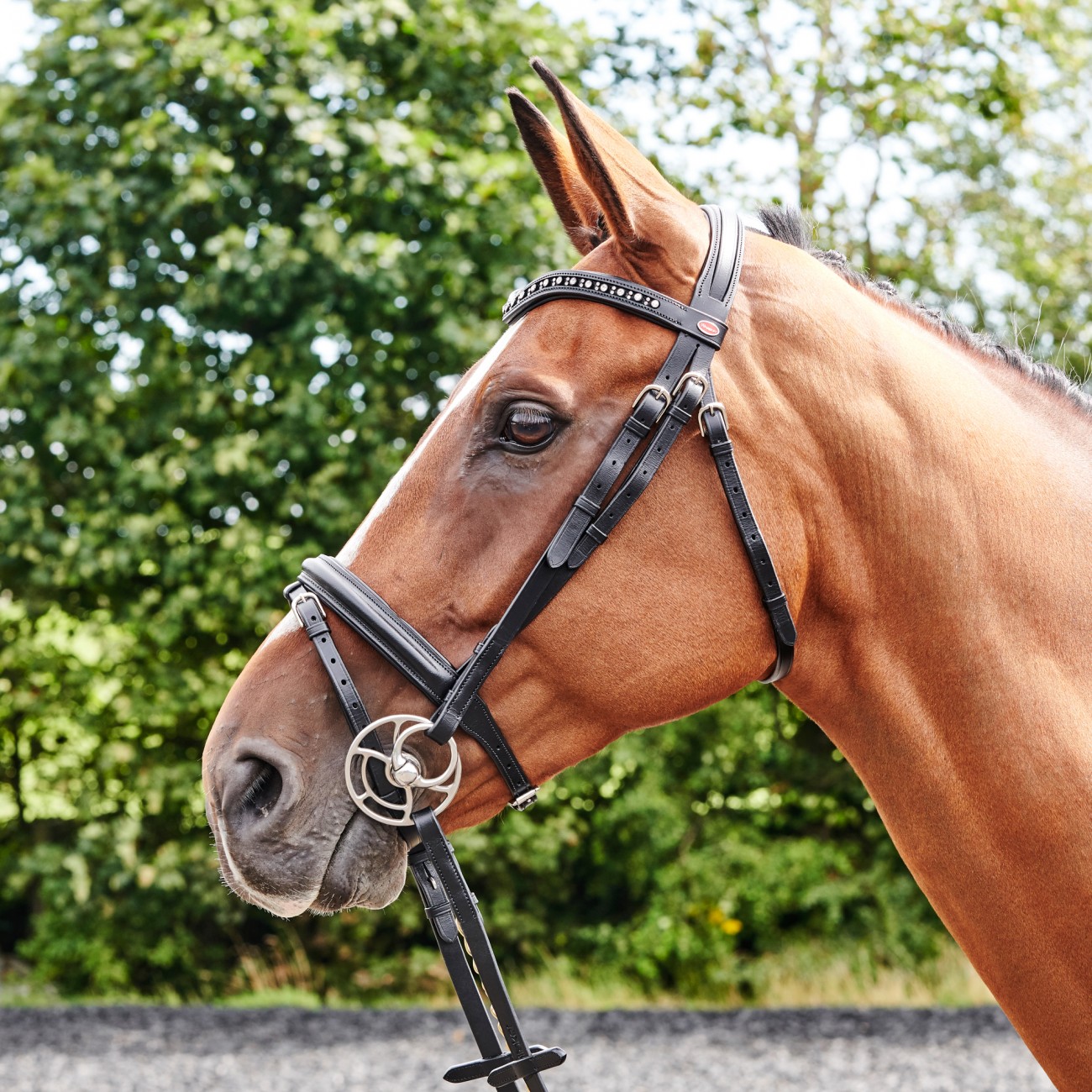 John Whitaker Lynton Leather Cavesson Bridle Plus Additional Browband FREE P&P 