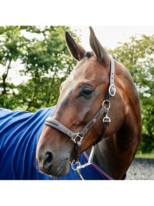 HC070 - Chicago Perforated Leather Headcollar               
