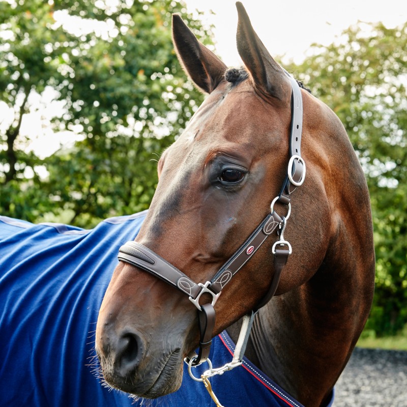 HC070 - Chicago Perforated Leather Headcollar               