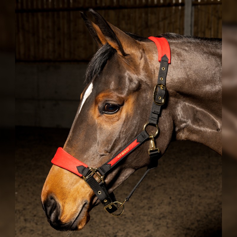 HC096 - Harewood Headcollar