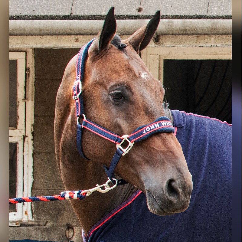 WHCS - Airflow Head Collar with Leadrope Set