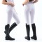 B155L - Clayton Ladies Breeches with Silicone Grip Knee Patches - 7 Colour Options