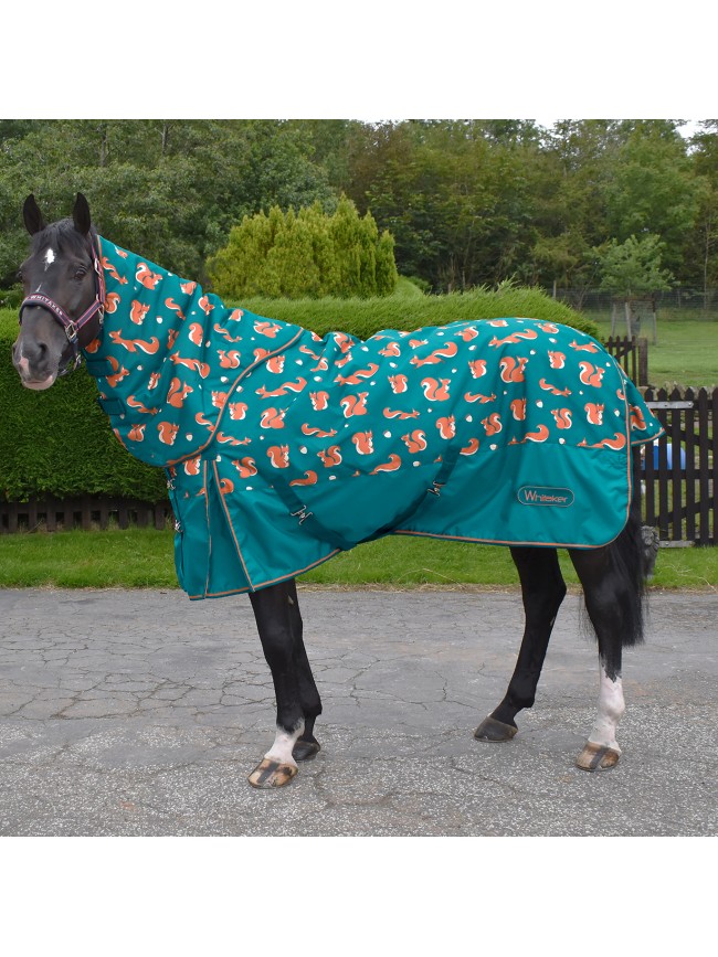 R111 Knutsford 150g Combo Turnout rug with Squirrel Print 