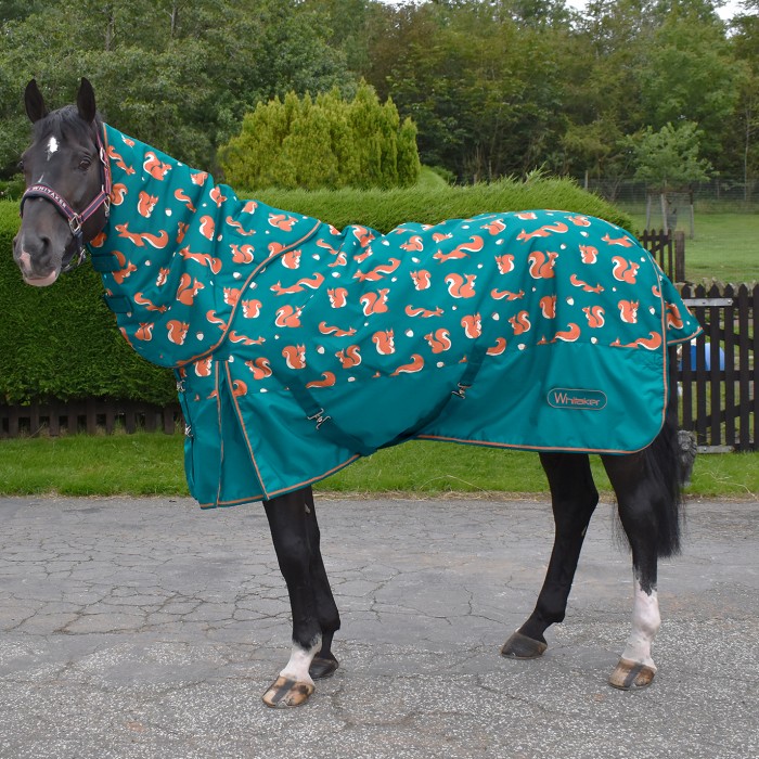 R111 Knutsford 150g Combo Turnout rug with Squirrel Print 