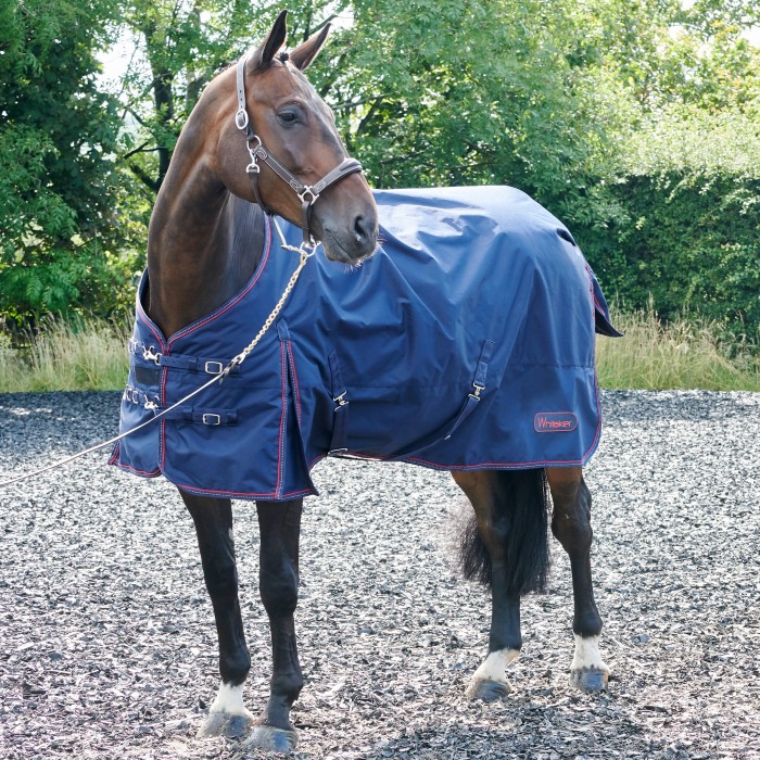 R189 Rastrick 200g Turnout Rug  Sizes 4ft9 to 7ft      