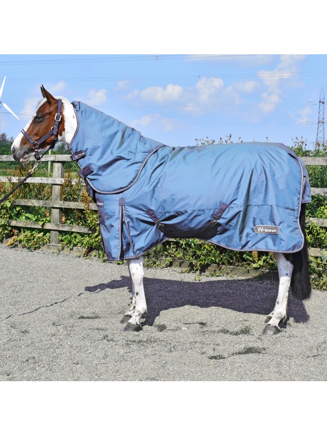 R281 Lupin 250g 800D Combo Turnout Rug with Detachable Hood