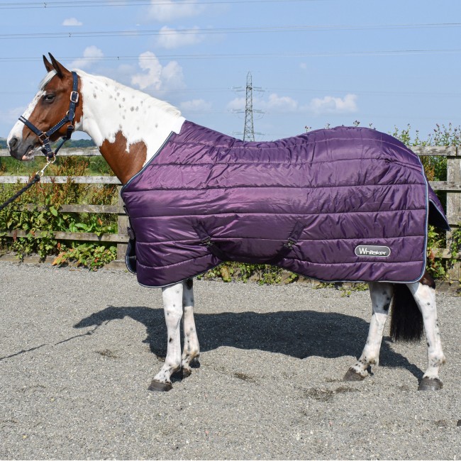 R282 Thistle 200g Stable Rug