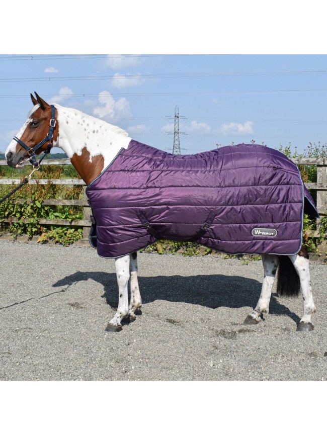 R282 Thistle 200g Stable Rug