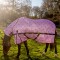 R298 Unicorn Fly Mesh Rug with Fixed Neck Sizes 4'3 to 6'0