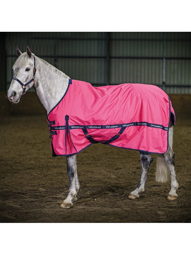 R340 Clifton Lightweight 0g Turnout Rug in Pink