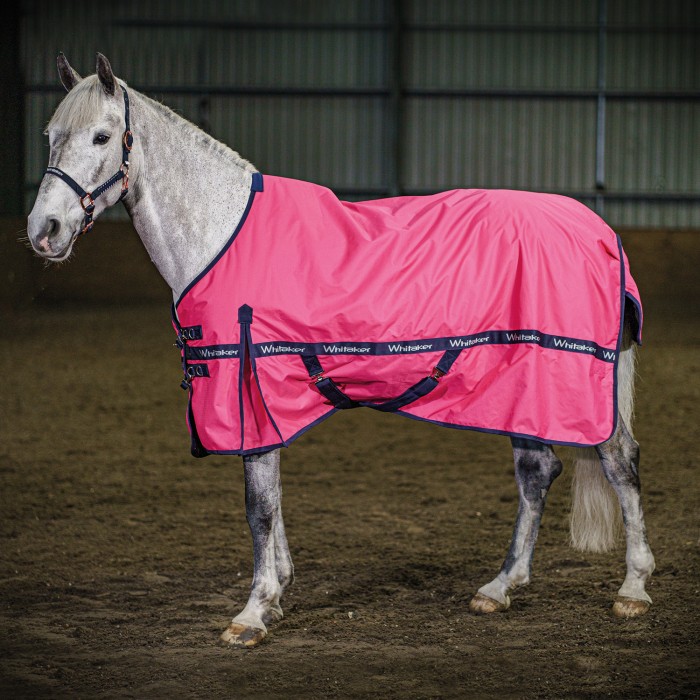 R340 Clifton Lightweight 0g Turnout Rug in Pink