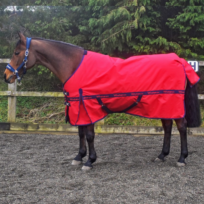 R354 Kirkby Lightweight 100g Turnout Rug in Red