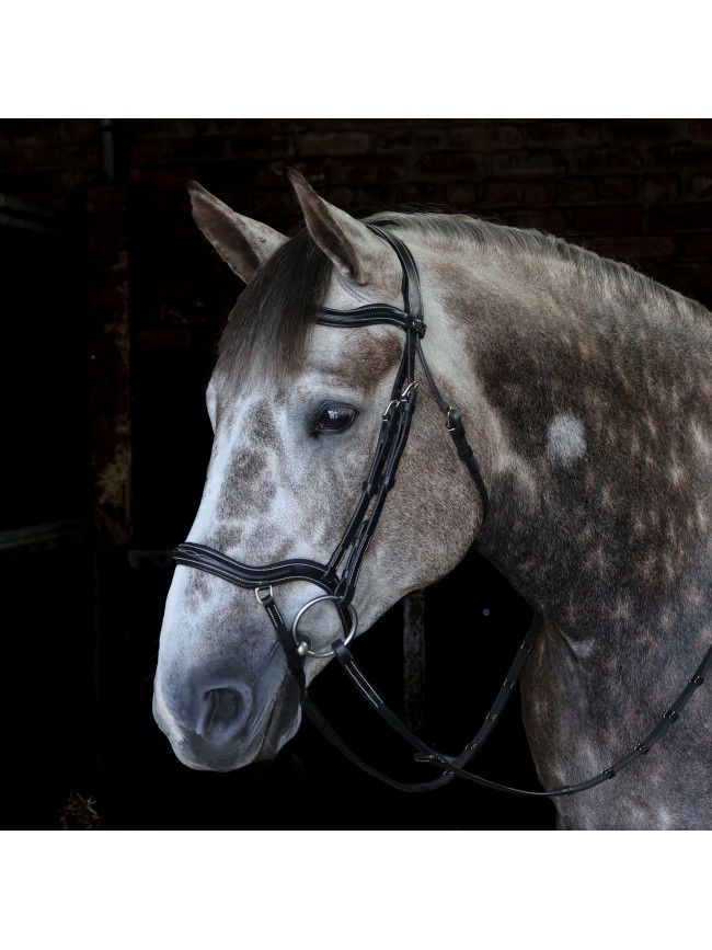 BR103 Stockholm Bridle with Reins - Available in Cob or Full - Black or Havana, Pick'n'Mix