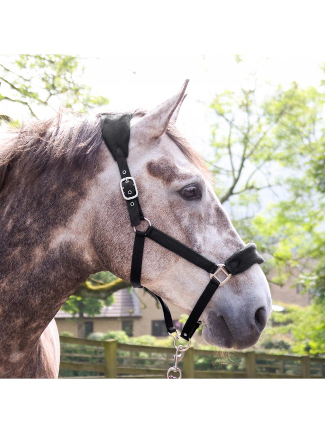 HC160 Club Headcollar & Leadrope Set in Black