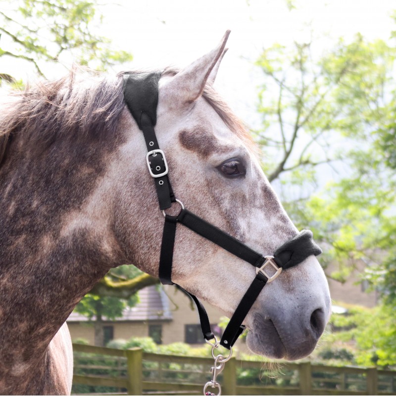 HC160 Club Headcollar & Leadrope Set in Black