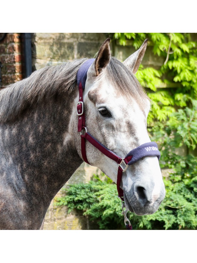 HC160 Club Headcollar & Leadrope Set in Burgundy