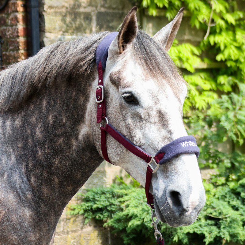 HC160 Club Headcollar & Leadrope Set in Burgundy