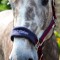 HC160 Club Headcollar & Leadrope Set in Burgundy