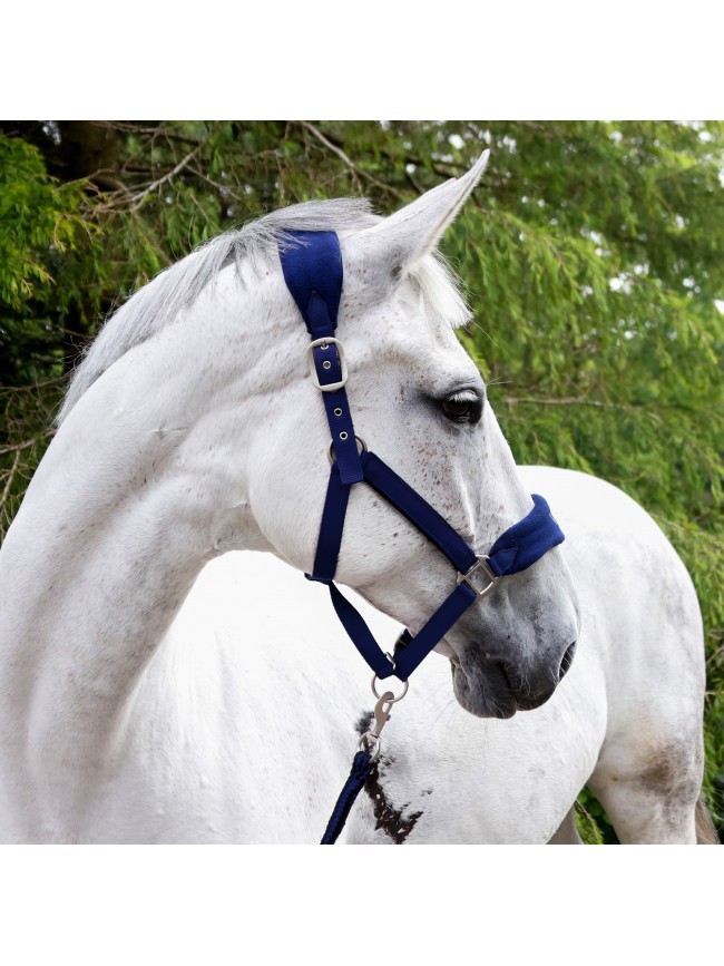 HC160 Club Headcollar & Leadrope Set in Navy