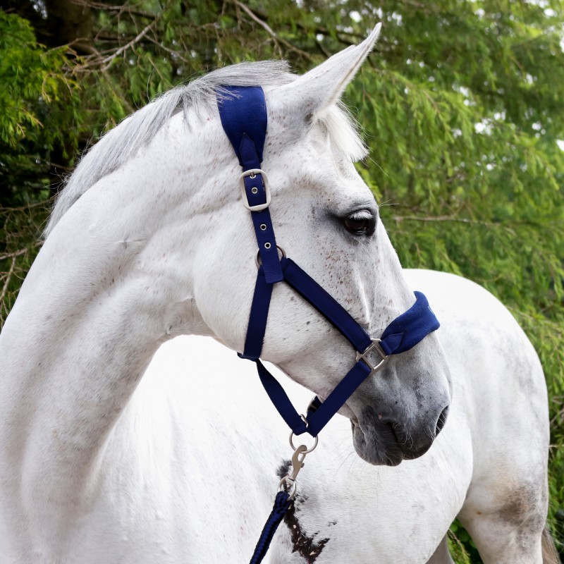 HC160 Club Headcollar & Leadrope Set in Navy