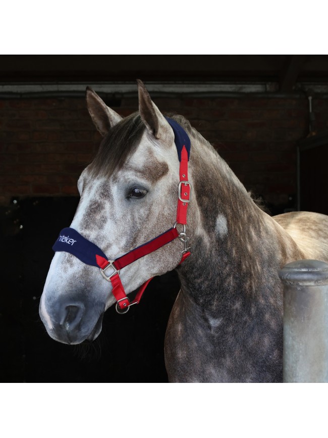 HC160 Club Headcollar & Leadrope Set in Red