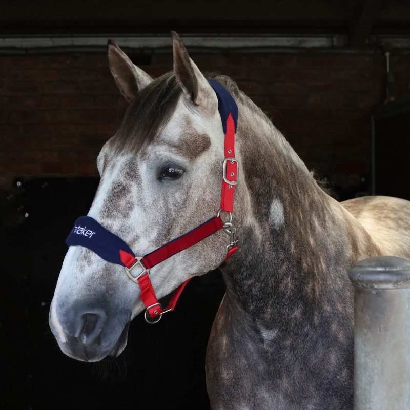 HC160 Club Headcollar & Leadrope Set in Red