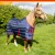 R136B Thomas 250g Stable Rug Sizes 4ft9 to 7ft