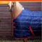 R136B Thomas 250g Stable Rug Sizes 4ft9 to 7ft