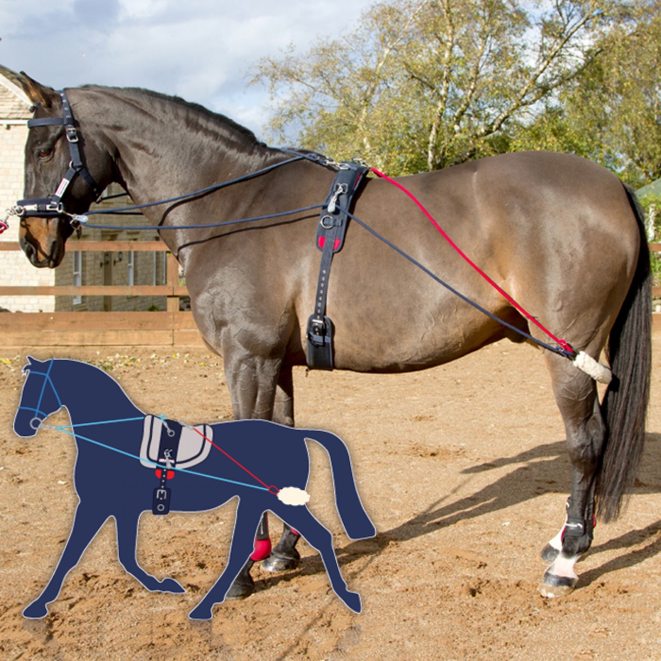 LL003 Whitaker Lunge Line Navy 