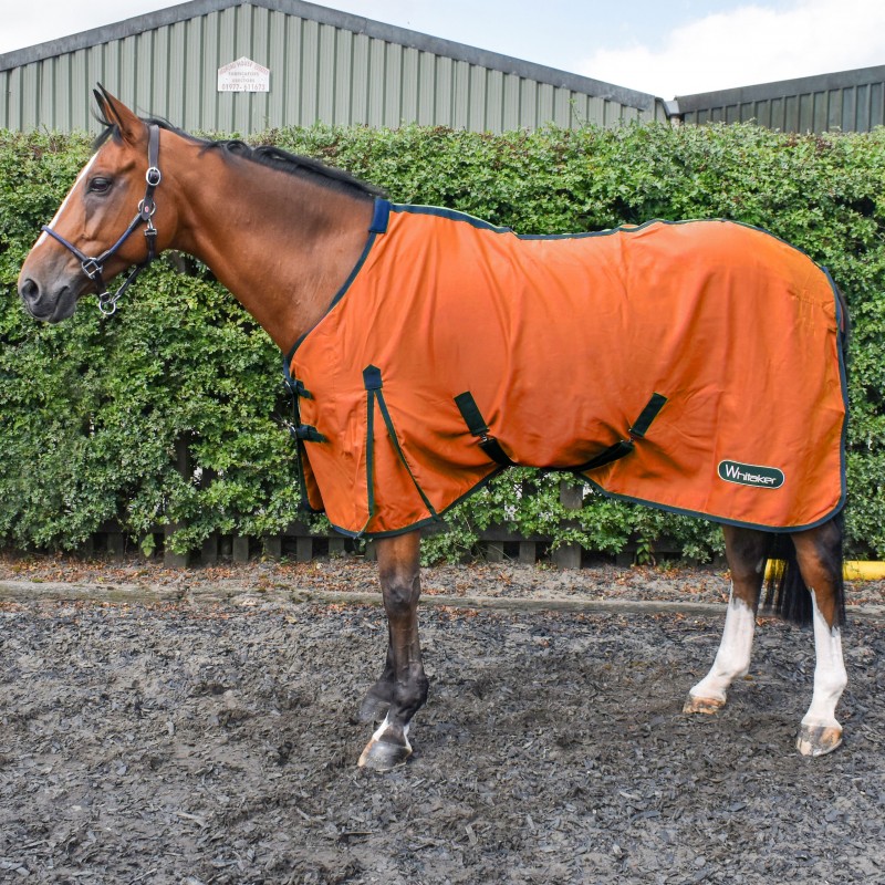 R370 Allerton Cotton Sheet in Orange